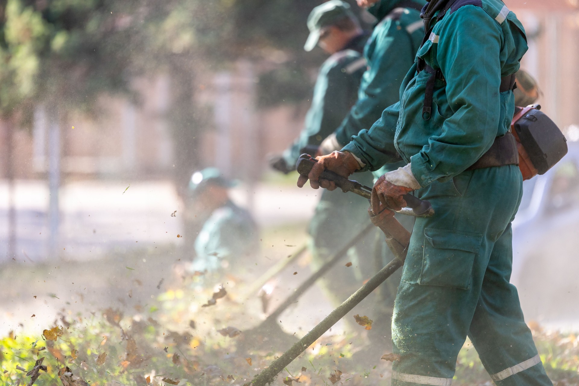 Equipo de mantenimiento del paisaje podando arbustos durante la tarde en un parque público para mejorar el paisaje y promover la limpieza