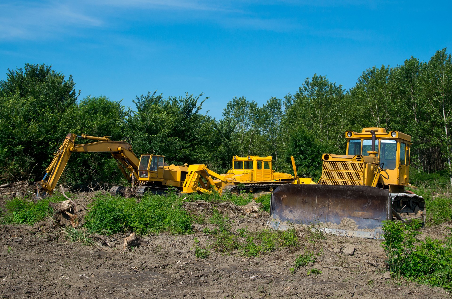 Excavadora y bulldozer limpiando tierras forestales. Equipo pesado.